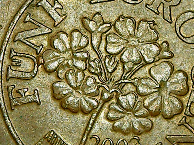 sena coins